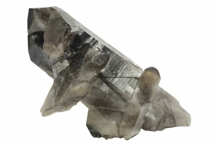 Dark Smoky Quartz Crystal Cluster - Brazil #234064